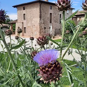 Vakantieboerderij Corte Davini Monzambano
