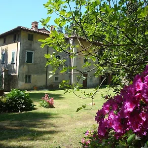 Masini-luccetti Bed & Breakfast Pietrasanta